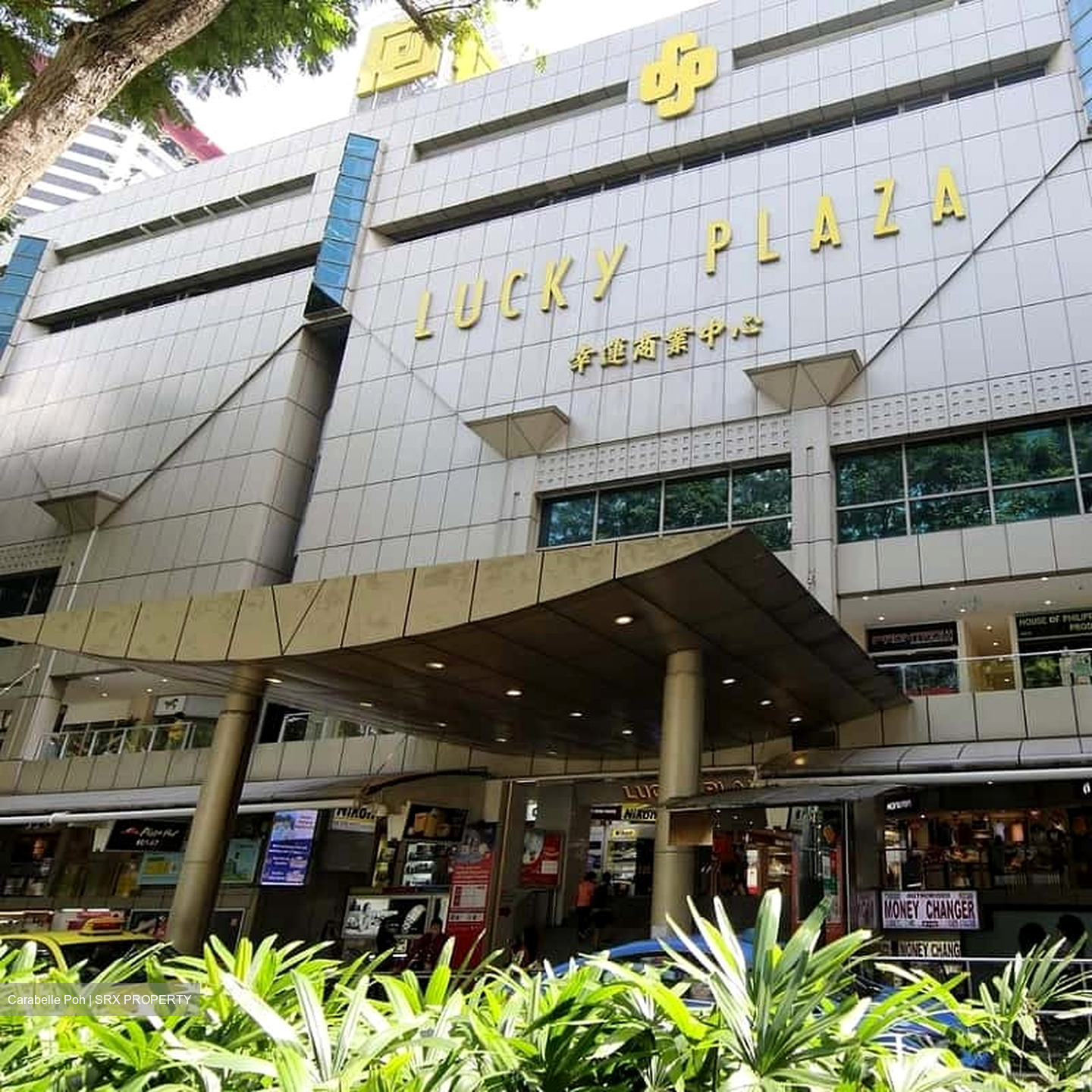 Lucky Plaza (D9), Apartment #504316231